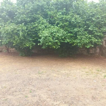 Depaysement A La Campagne *